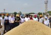 ਸਿਹਤ ਮੰਤਰੀ ਡਾ. ਬਲਬੀਰ ਸਿੰਘ ਵੱਲੋਂ ਮੰਡੀਆਂ ਦਾ ਦੌਰਾ, ਝੋਨੇ ਦੀ ਖਰੀਦ ਦਾ ਜਾਇਜ਼ਾ