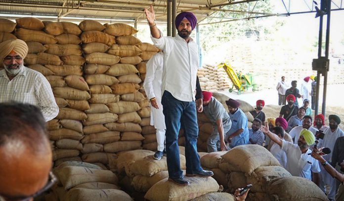 Pardhan Ji's Mandi Photo