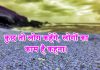 कुछ तो लोग कहेंगे……