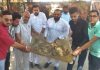 भाजपा युवा मोर्चा ने महात्मा गांधी के विचारों को जीवन में अपनाने का लिया संकल्प, चलाया सफाई अभियान