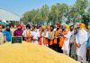 ਚੇਅਰਮੈਨ ਸੇਖਵਾਂ ਨੇ ਧਾਰੀਵਾਲ, ਕਾਹਨੂੰਵਾਨ ਅਤੇ ਕਾਦੀਆਂ ਵਿਖੇ ਝੋਨੇ ਦੀ ਸਰਕਾਰੀ ਖਰੀਦ ਕਰਵਾਈ ਸ਼ੁਰੂ
