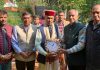 हमीरपुर जिला में श्रद्धापूर्वक मनाई गई गोपाष्टमी