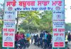 “साडे बुज़ुर्ग, साडा मान” मुहिम के अंतर्गत बुज़ुर्गों के लिए लगाए जा रहे हैं राज्य में कैंप: डा. बलजीत