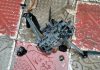 RECOVERY OF A DRONE BY BSF IN DISTRICT TARN TARAN