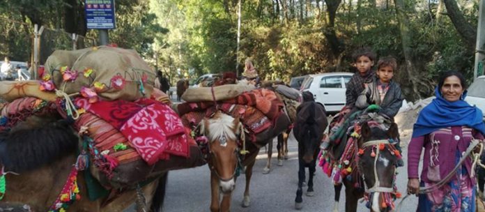 rajouri