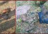 बाजीमाल में चल रही मुठभेड़ में ढांगरी हमले का मास्टरमाइंड आतंकीकारी समेत दो ढेर, हथियार बरामद