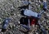 BSF RECOVERS A DRONE NEAR AMRITSAR BORDER