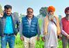 ਖੇਤੀਬਾੜੀ ਵਿਭਾਗ ਦੇ ਮਾਹਿਰਾਂ ਵੱਲੋਂ ਵੱਖ-ਵੱਖ ਪਿੰਡਾਂ ਵਿੱਚ ਸਰਫੇਸ ਸੀਡਰ ਨਾਲ ਬੀਜੀ ਕਣਕ ਦੇ ਖੇਤਾਂ ਦਾ ਕੀਤਾ ਦੌਰਾ