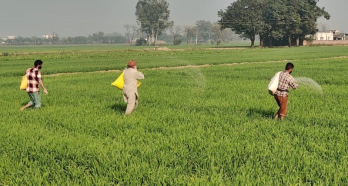 kisan