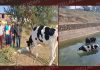कंडी कैनाल नहर के साथ-साथ बाड़बंदी का इंतजाम करे नहरी विभाग: अश्विनी गैंद