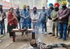ਧੀਆਂ ਦੀ ਲੋਹੜੀ ਮਨਾਉਣ ਨਾਲ ਹੀ ਸਾਰਥਕ ਹੇਵੇਗਾ ਲੋਹੜੀ ਦਾ ਤਿਉਹਾਰ: ਚੇਅਰਮੈਨ ਇੰਡੀਅਨ