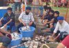 ਪਿੰਡ ਕਲਾਂ ਵਿੱਚ ਹੋਲੇ ਮਹੱਲੇ ਦੇ ਮੋਕੇ ਤੇ ਸੰਗਤਾਂ ਲਈ ਲਗਾਇਆ ਲੰਗਰ