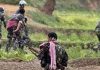 बीजापुर में पुलिस मुठभेड़ में 4 नक्सली ढेर, कई घायल, हथियार बरामद
