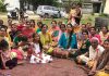 त्यौहार को उसके मूल रूप एवं संस्कृति के अनुसार ही मनाए: नीति तलवाड़