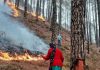 उत्तराखंड के जंगलों में लगी भीषण आग, 4 की मौत, 350 से अधिक पर मामला दर्ज