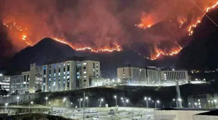 himachal forest fire