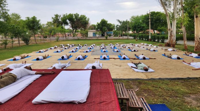YOGA