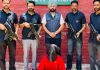पंजाब पुलिस की एजीटीएफ द्वारा जेल में बंद गैंगस्टर दीपक टीनू का साथी गिरफ्तार; पिस्टल बरामद