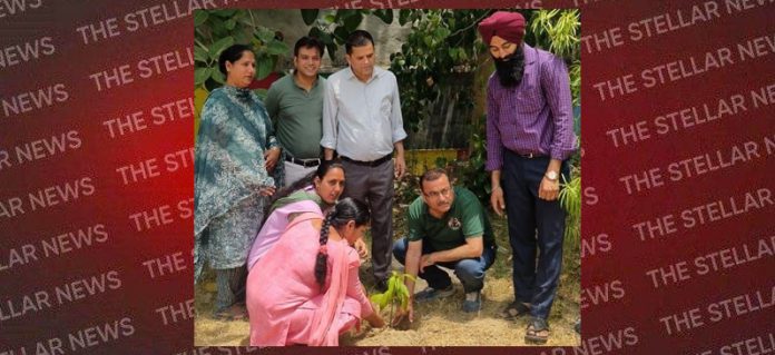 environment day