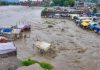 पार्वती घाटी में फटा बादल, कई दुकानें तथा घर हुए क्षतिग्रस्त