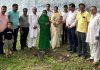हमें अपनी खुशी के अवसर पौधारोपण कर मनाने चाहिए: ललिता अरोड़ा