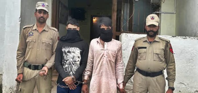 terrorist arrest