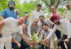 ਜ਼ਿਲ੍ਹਾ ਪ੍ਰਬੰਧਕੀ ਕੰਪਲੈਕਸ ਗੁਰਦਾਸਪੁਰ ਵਿਖੇ ਮਨਾਇਆ ਗਿਆ ਵਣ-ਮਹਾਂਉਤਸਵ