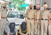 ਹਥਿਆਰਾਂ ਦੀ ਨੋਕ ਤੇ ਲੁੱਟਾਂ-ਖੋਹਾਂ ਕਰਨ ਵਾਲੇ 2 ਕਾਬੂ, 1 ਦੀ ਭਾਲ ਜਾਰੀ