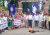 बसपा ने फूंका पंजाब सरकार का पुतला