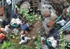 अनियंत्रित होकर बस खाई में गिरी, 3 की मौत, 50 घायल