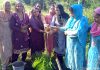 दरकोटी की महिलाओं ने चलाया स्वच्छता अभियान, पौधारोपण कर दिया पर्यावरण बचाने का संदेश