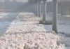 प्रदूषण के कारण Yamuna River का पानी हुआ जहरीला