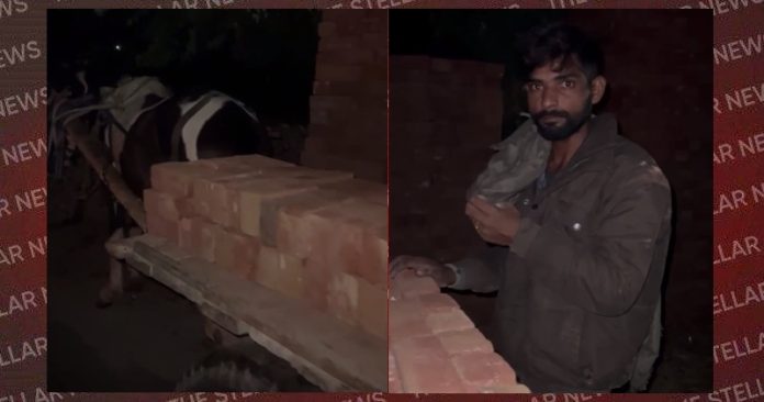 bricks-thief-hoshiarpur