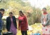 डेंगू के विरुद्ध साप्ताहिक “मेगा अभियान” में स्वास्थ्य विभाग द्वारा की गई विभिन्न गतिविधियाँ