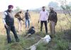 जालंधर कमिश्नरेट पुलिस ने लॉरेंस बिश्नोई गिरोह के 2 बदमाशों को किया गिरफ्तार, 3 हथियार बरामद