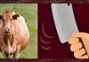 हैवानियत: गर्भवती गाय का सिर धड़ से अलग करके काटे पैर, मृत बछड़े को सड़क पर छोड़ा
