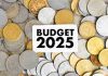 Comment from Mr. Shalya Gupta On Union Budget 2025