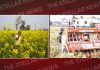 The Centre’s Push for Punjab’s Agriculture: Balancing Prosperity and Sustainability