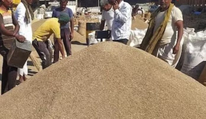 kissan