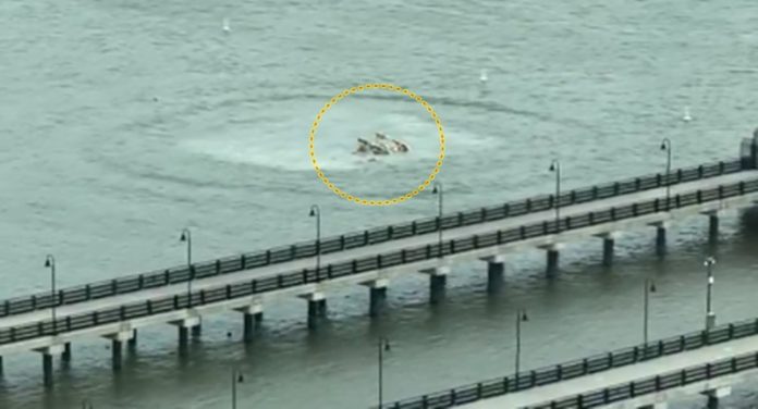 helicopter crash