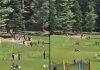 Pahalgam Attack: आतंकियों के संपर्क में थे 10 से अधिक ओरवग्राउंड वर्कर्स, मोबाइल एप्स व चीनी सैटेलाइट तकनीक के जरिए था संपर्क