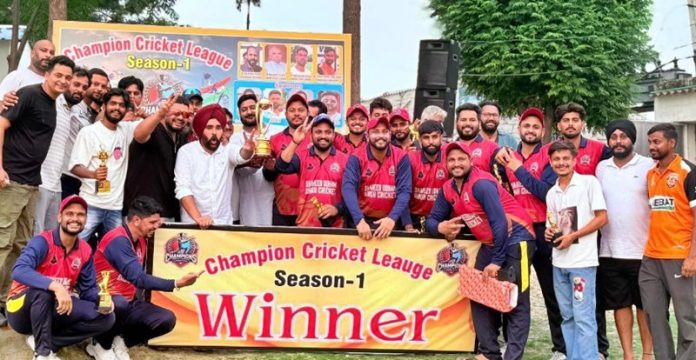 Cricket pic
