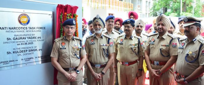 DGP