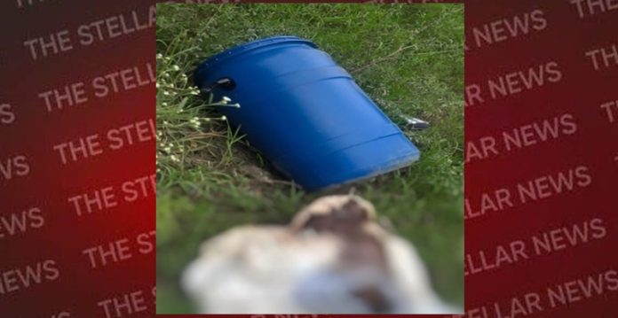 dead body ludhina