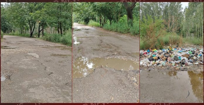 garhdiwala-to-mastiwal-mallewal-road-hoshiarpur-punjab