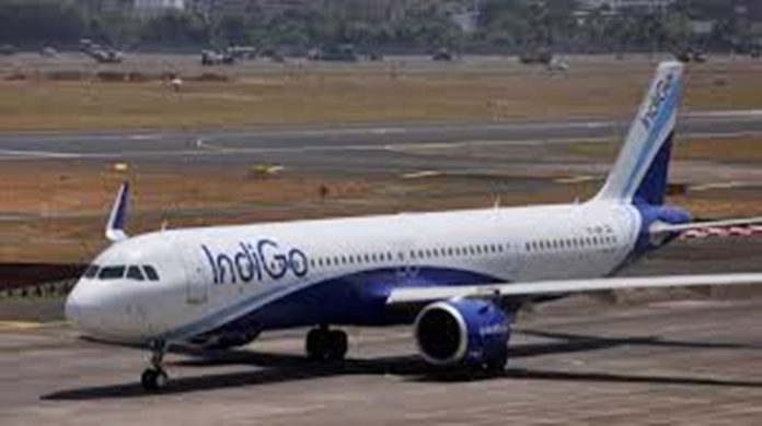 indigo