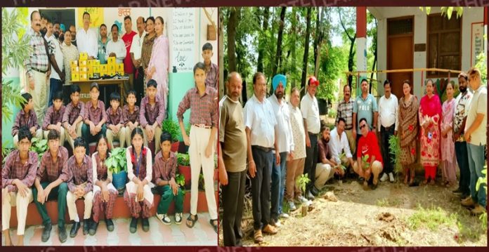 bhatia birthday