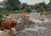 विधायक दा केहा सिर मत्थे, पर नाला उत्थे दा उत्थेः निर्देश के 4 दिन बाद भी खतरे में जान