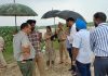 डिप्टी कमिश्नर ने लिया ब्यास दरिया गाइडबन व धुस्सी बांध की सुरक्षा का जायजा