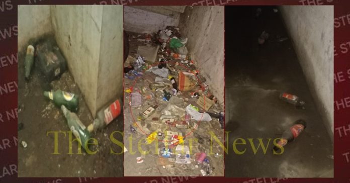 mini-sectriate-hoshiarpur-basement